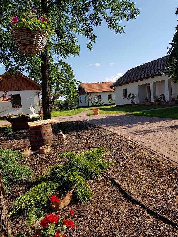 Toth Vendeghaz Es Apartmanhaz Ujfeherto Екстериор снимка