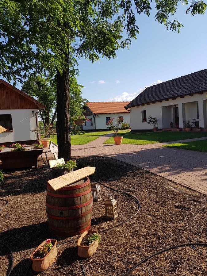 Toth Vendeghaz Es Apartmanhaz Ujfeherto Екстериор снимка